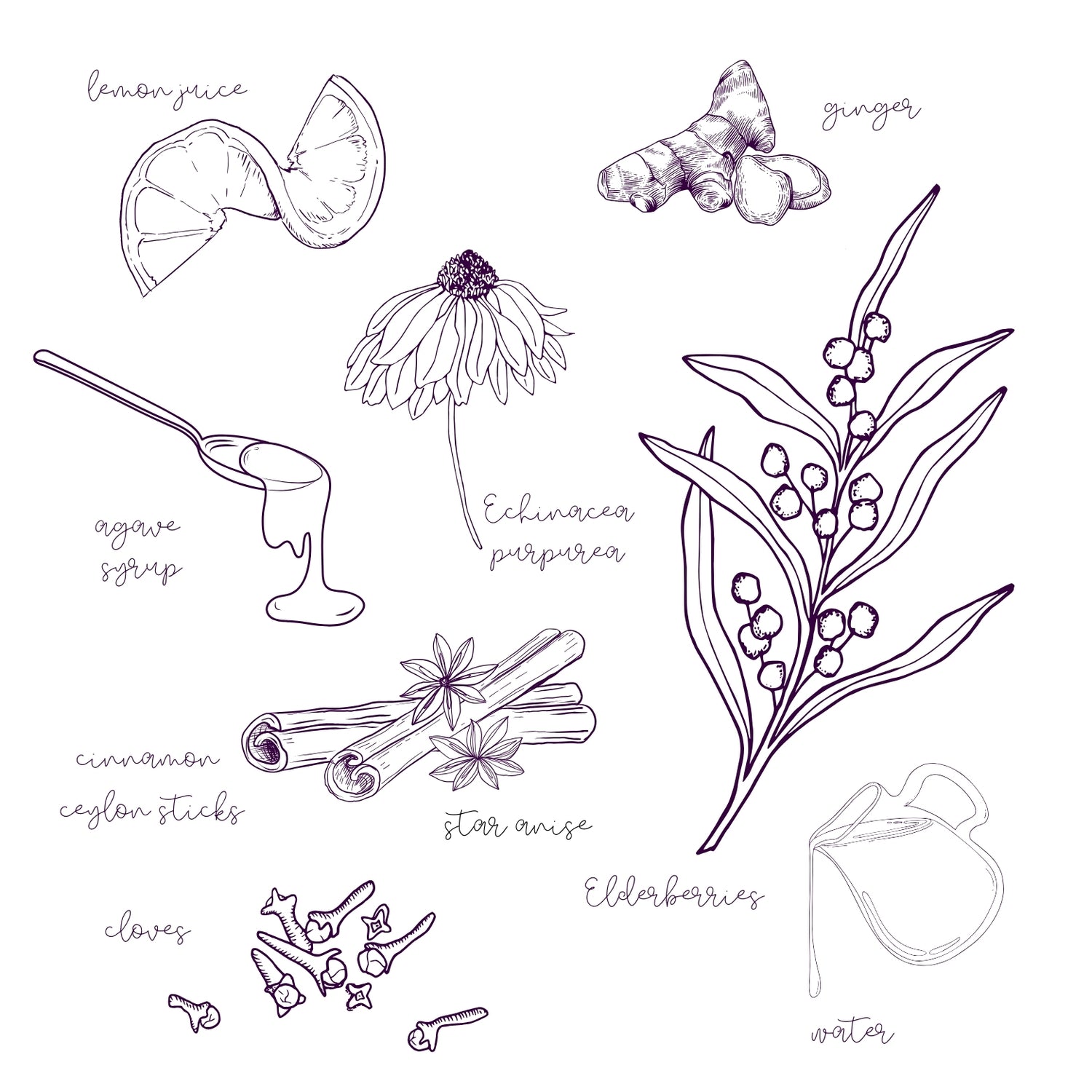 Liv Naturally Agave Syrup Ingredients