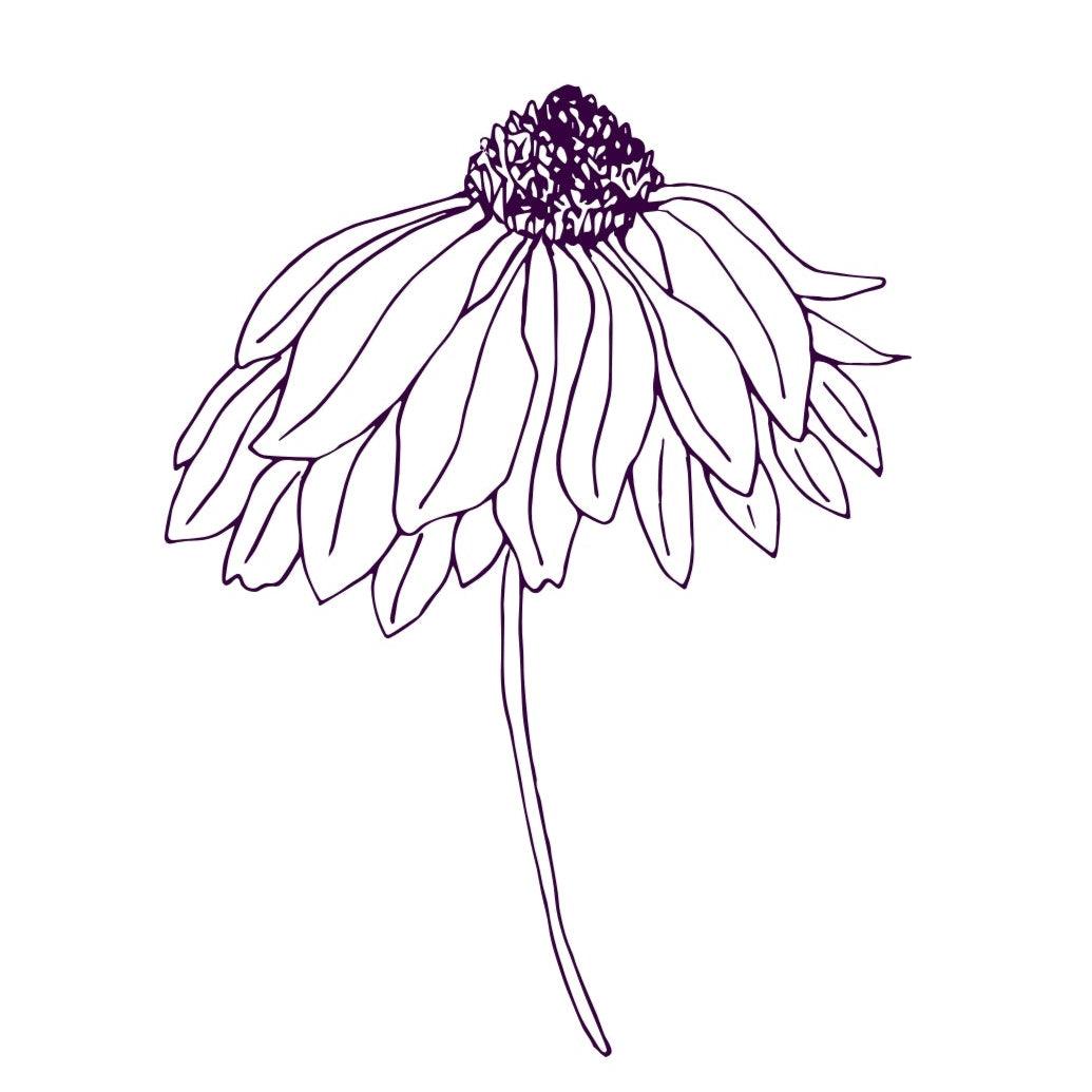 Elderberry & Agave Syrup