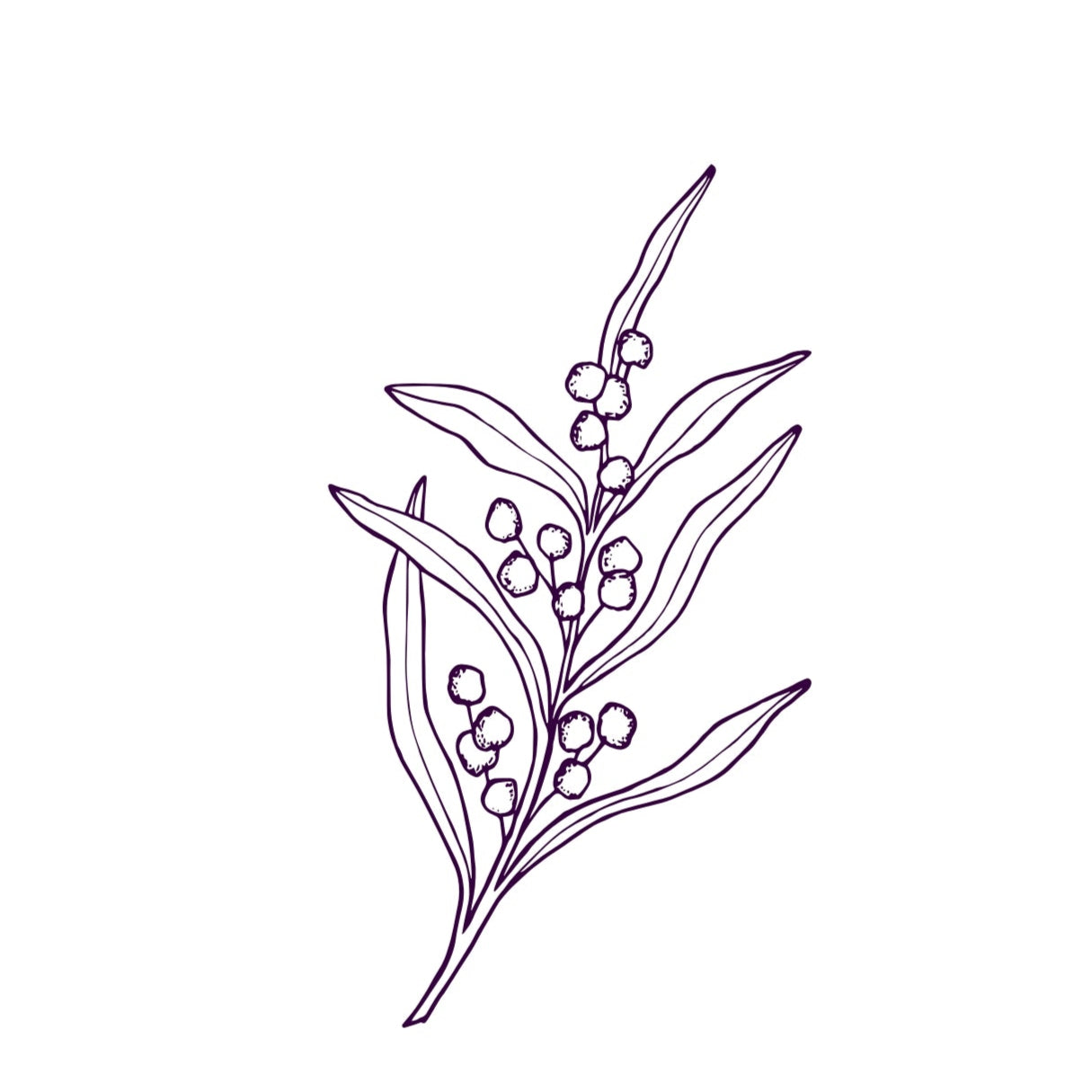 Elderberry & Agave Syrup