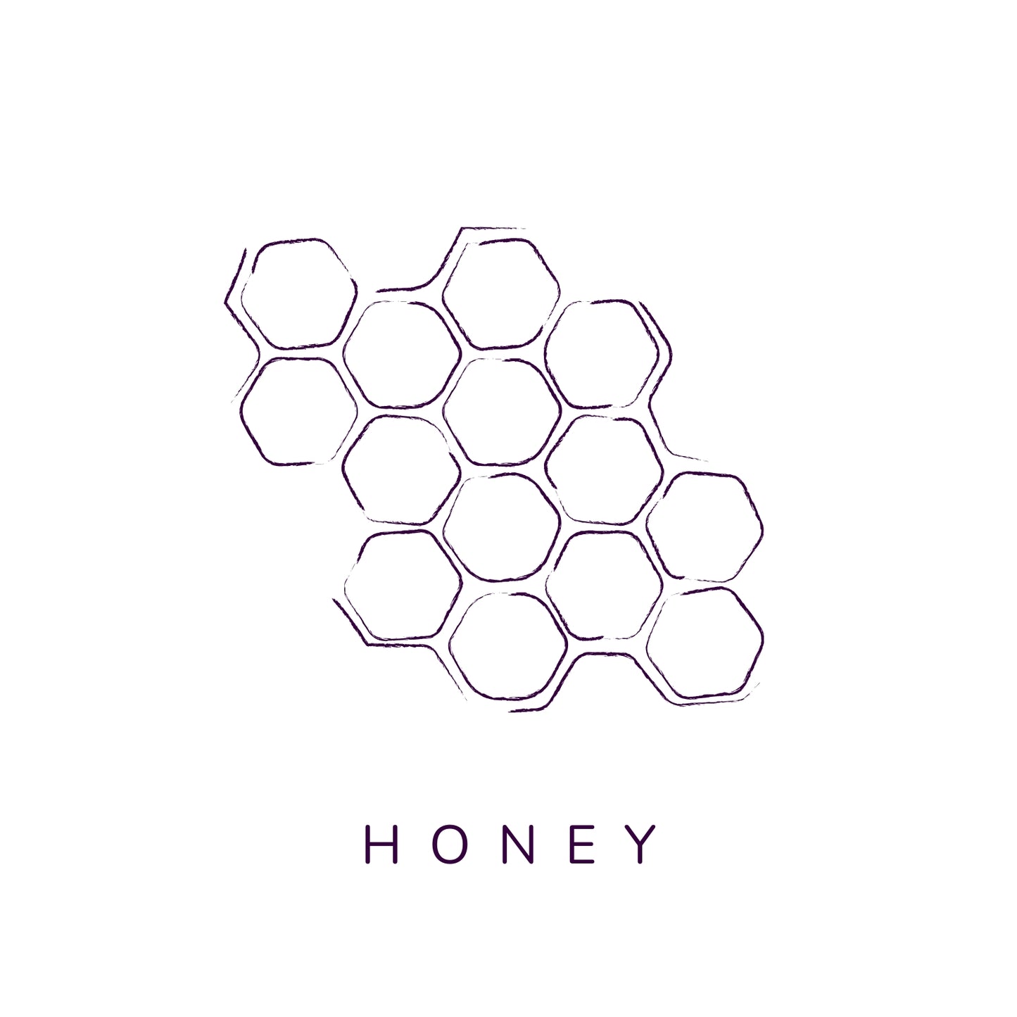 Elderberry & Honey Syrup