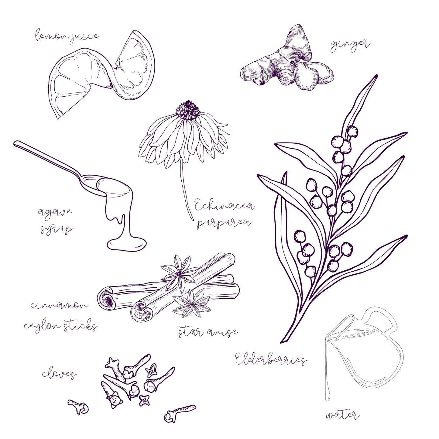 Liv Naturally Agave Syrup Ingredients